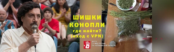 гидропоника Белокуриха