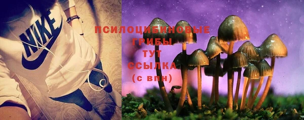 2c-b Белоозёрский