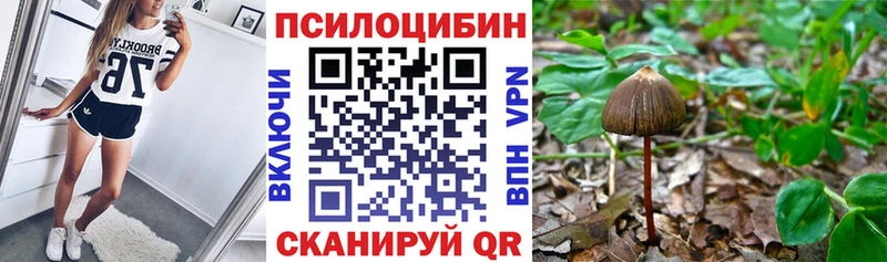 Псилоцибиновые грибы Cubensis  Шахунья 